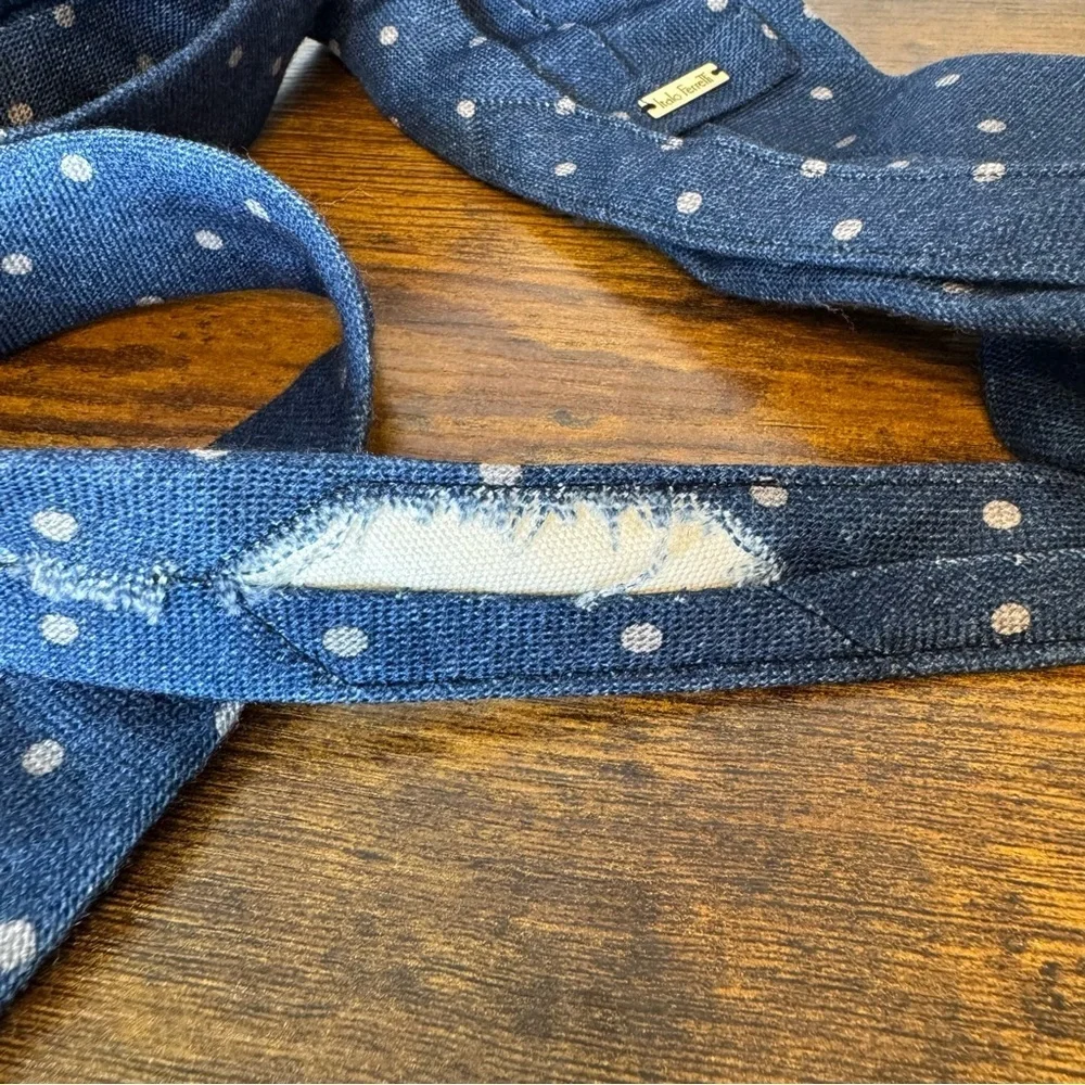 Italio Ferretti Men’ Navy Blue Polka Dot Wool Tie